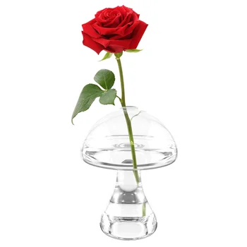 Váza váz Kvet Decorativemushroom Jasné, Dekor Podlahy Centerpieces Jar Terrariumtall 30 cm Korálky Tablebowl Kvety Izba