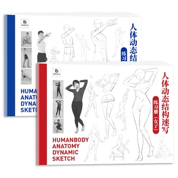 Znaky Sledovanie Náčrt Ručne Maľované Návod Knihy Humanbody Anatómie Dynamické, Náčrt, Skopírujte Praxi Linka Návrh Praxi Knihy