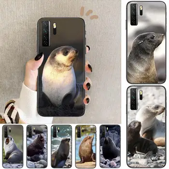 sea lion zvierat jemný Čierny Kryt Pú Pre Huawei Nova 8 7 6 SE 5T 7i 5i 5Z 5 4 4E 3 3i 3E 2i Pro Telefón Prípade prípadoch